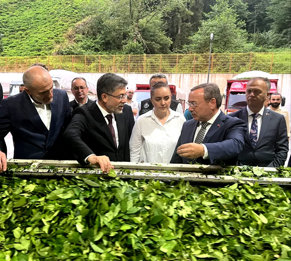 ÇAYKUR; YAŞ ÇAY KAMPANYA ÖNCESİ ÜRETİCİLERİ BİLGİLENDİRMEYE DEVAM EDİYOR