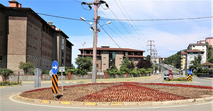 RİZE ŞEHRİ BEGONYA AÇTI
